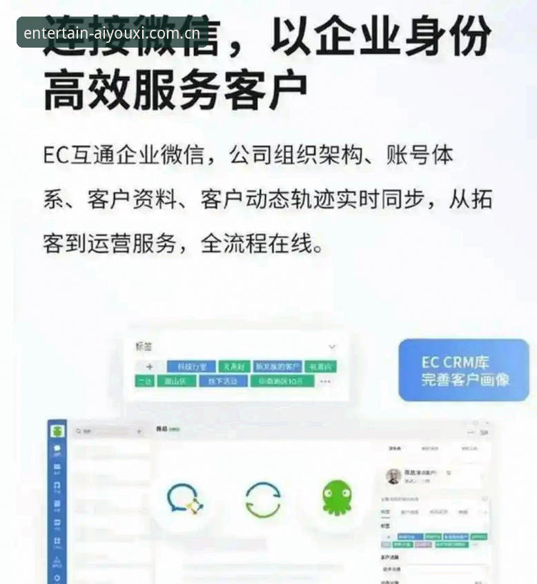 一个老用户的中文官方主页APP下载实战经验，有些坑你得避开
